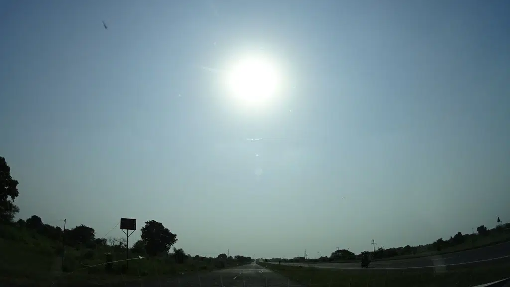 Highway Hylife