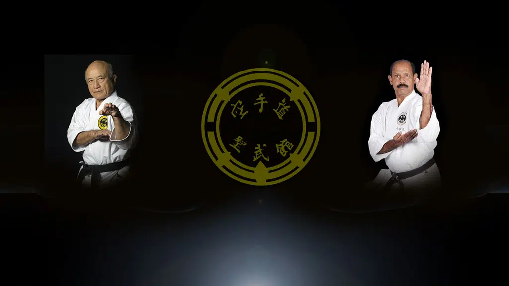 Shorin Ryu Seibukan Karate Bangalore