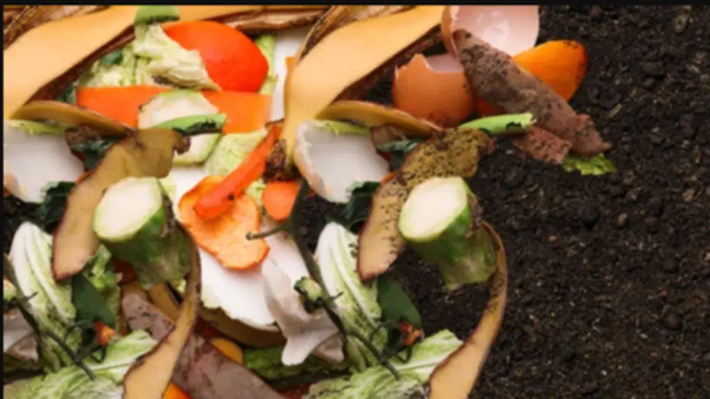 Natureloop Eco Solutions