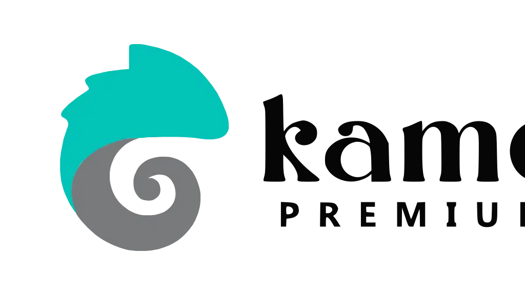 Kameleon Premium Salon Bangalore