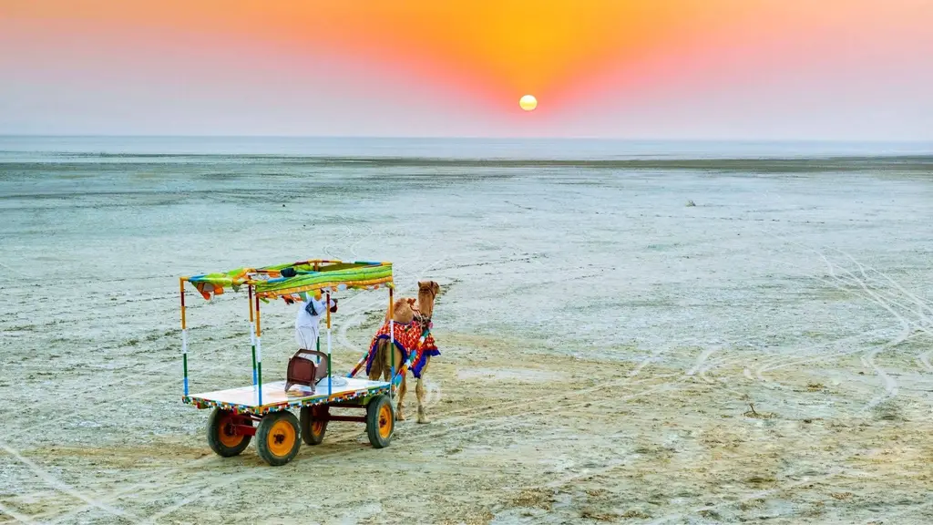 Rajarshi Travels