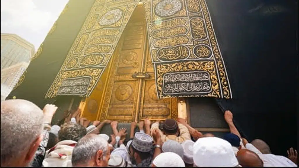 Al Madina Tour and Travels