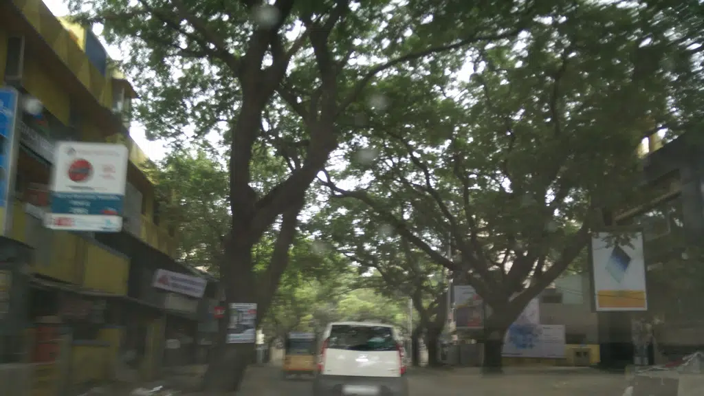 Chai Waale - Adyar