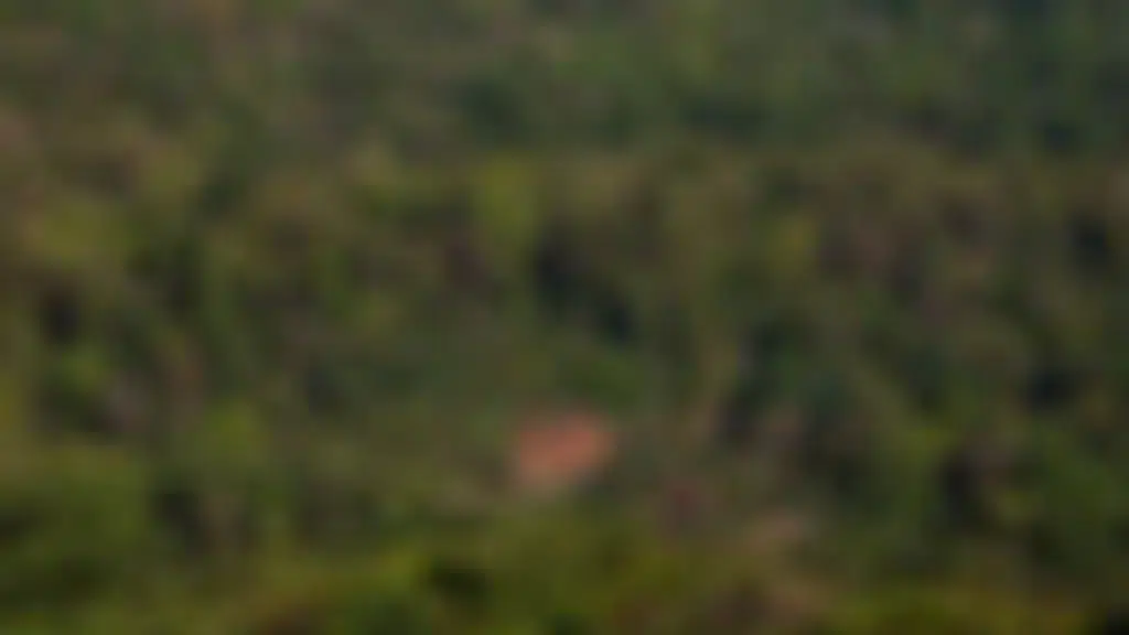 Honey Valley Estate