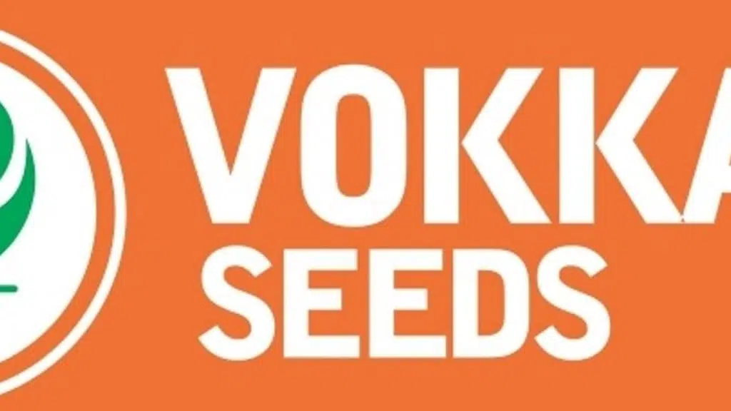 Vokkal Seeds