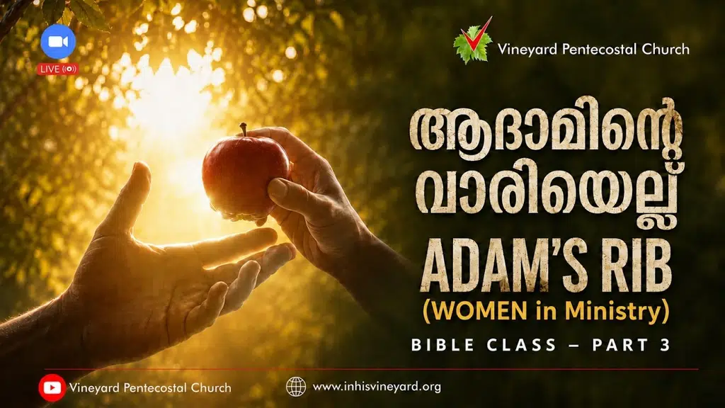 Vineyard Pentecostal Church
