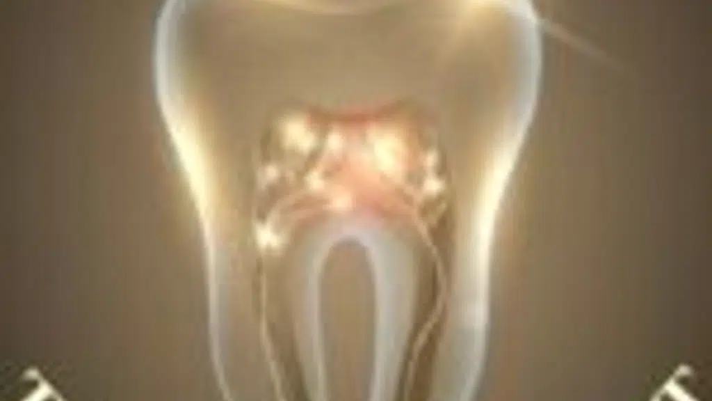 The Dental Port