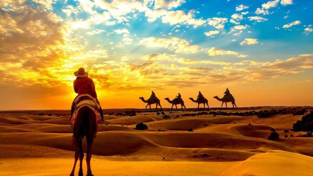Shree Ji Tours