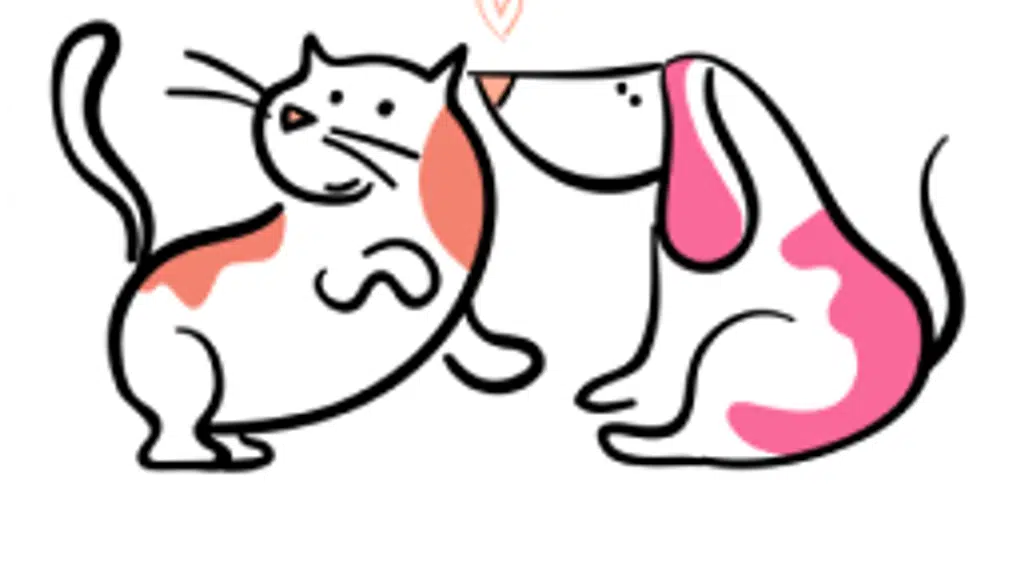 Petamiko