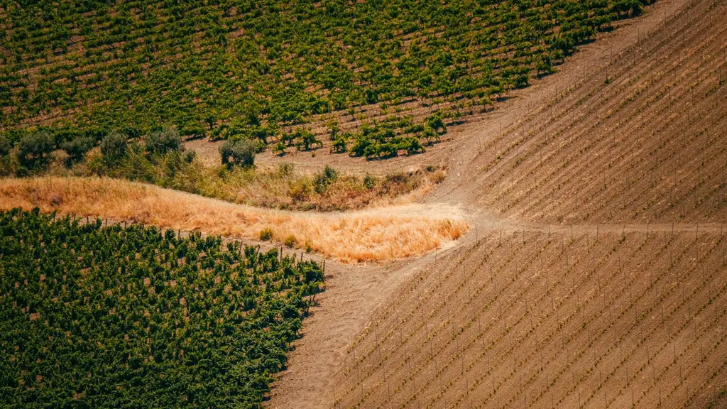 Navrang Farm