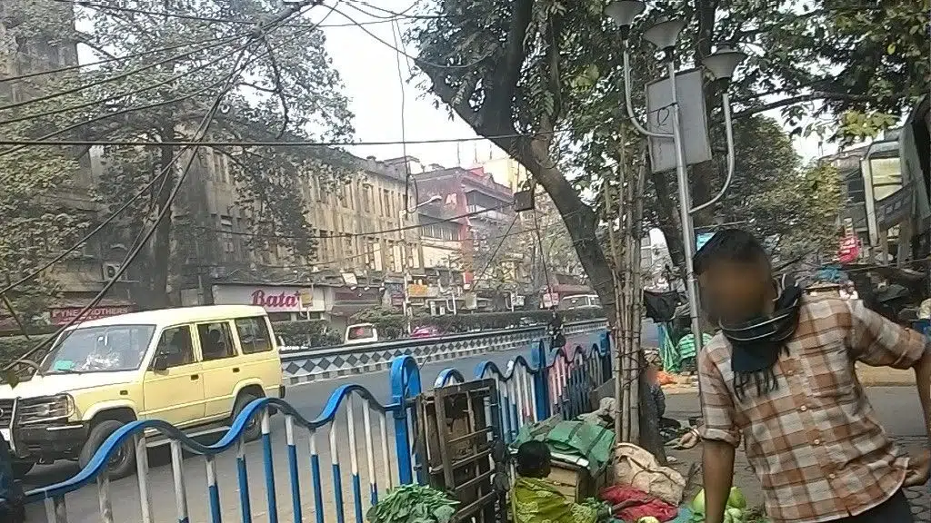 Dynamic Scaffolding and Equipment