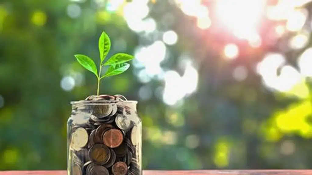 Investors Hubspot