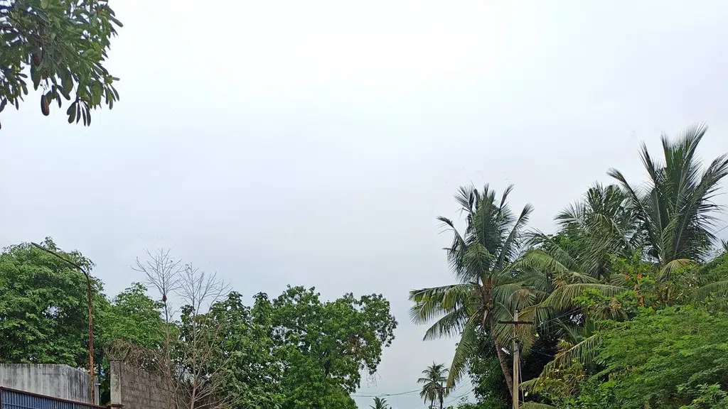 Amazing Andaman Holidays