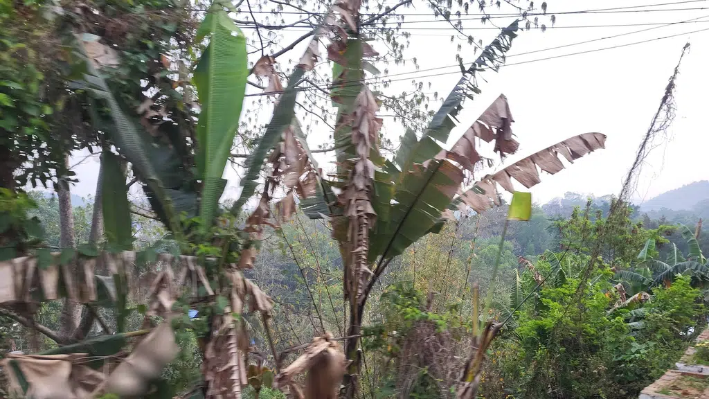 Phulbari  To  Dhubri Bridge