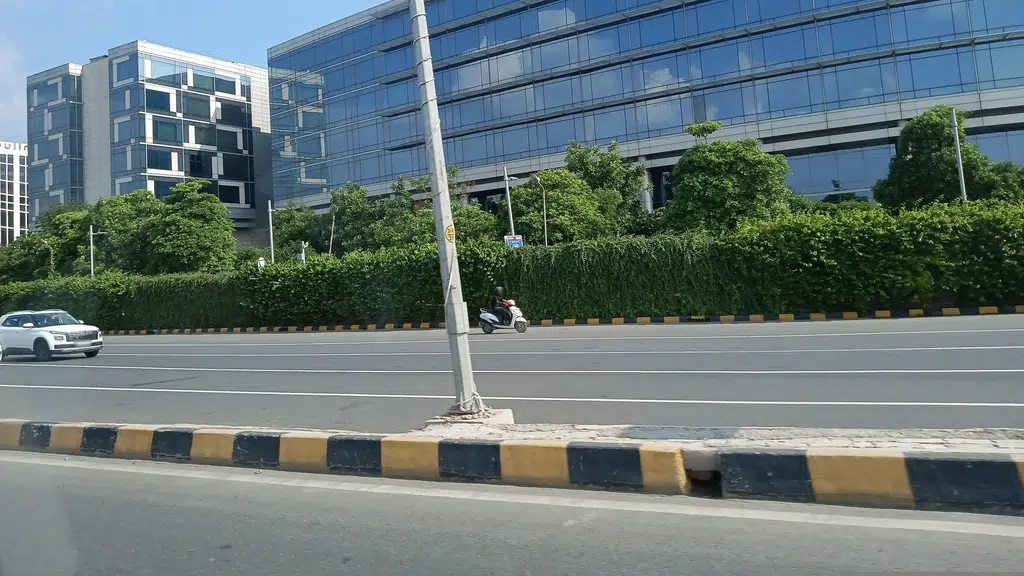 Sabji mandi