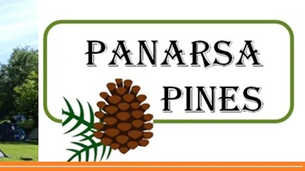 Panarsa Pines
