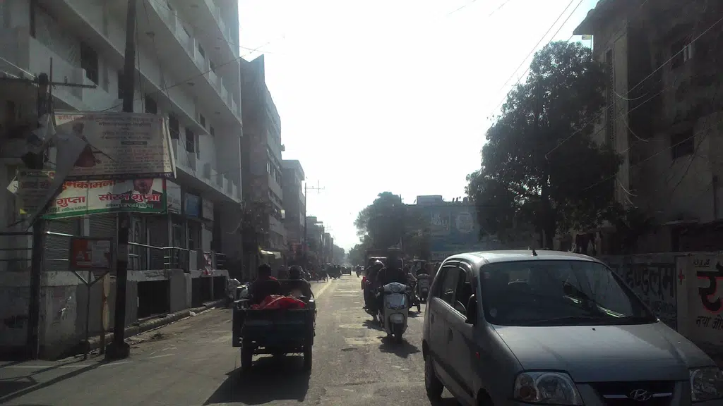 Kanpur Flowers