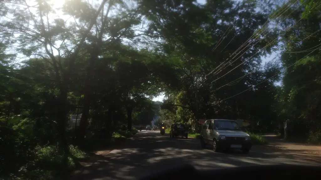 Dr.Seenareji's homoeo clinic