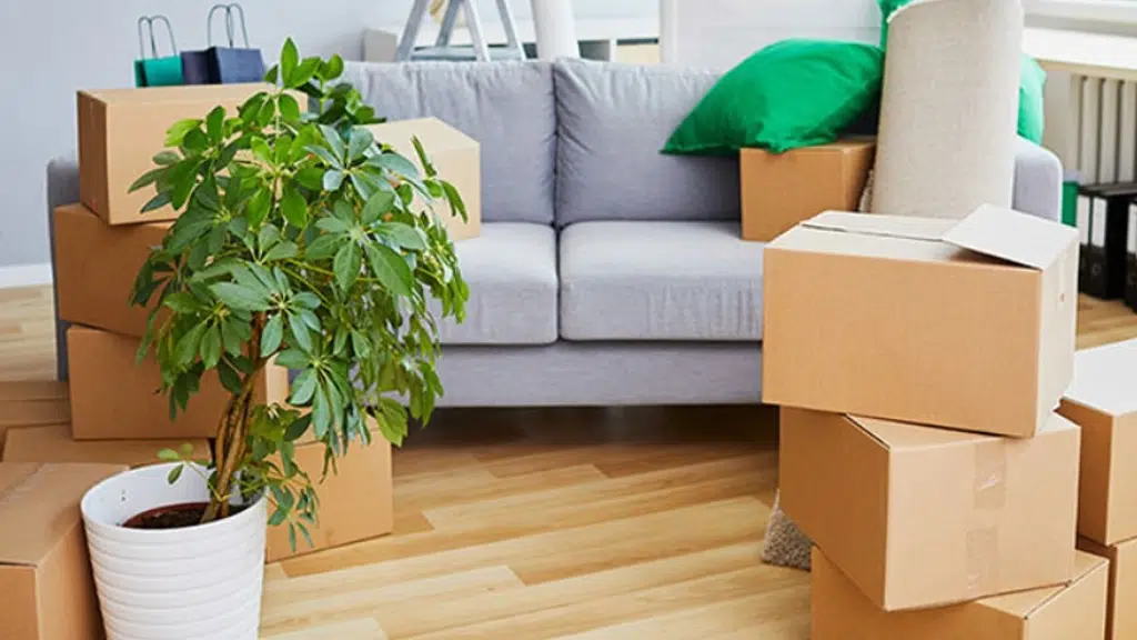 Welcome Packers and Movers
