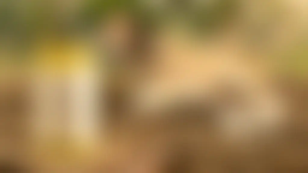 Paramshru