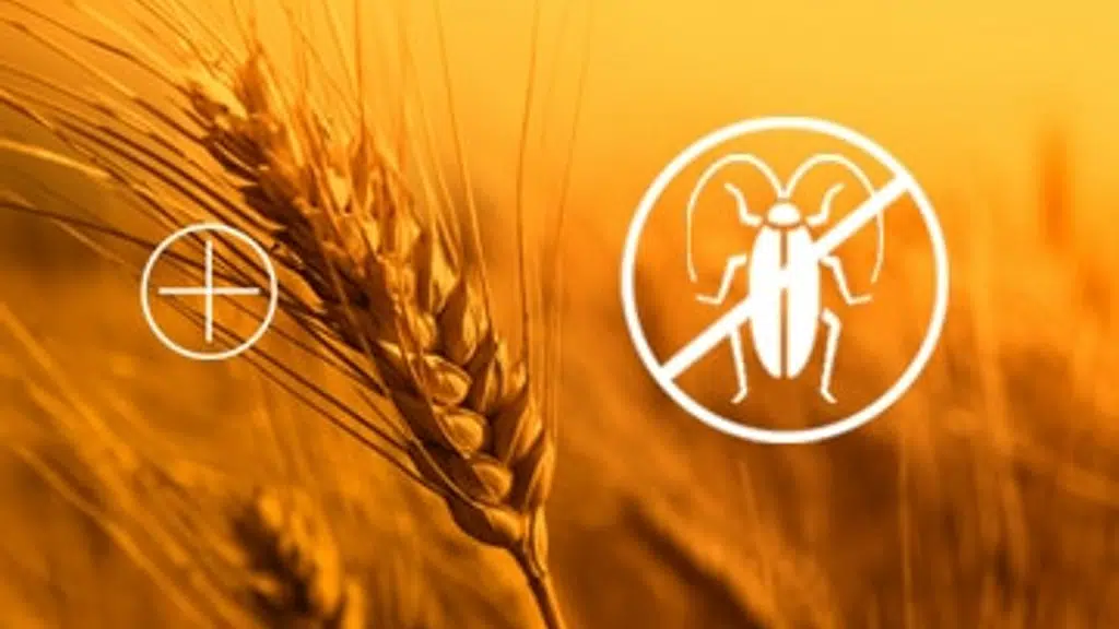 HPM Chemical and Fertilizers