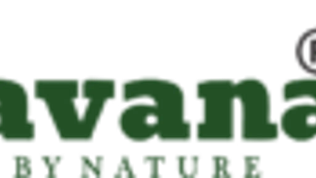 Amruthavana Nature Resort KSTDC Kodachadri