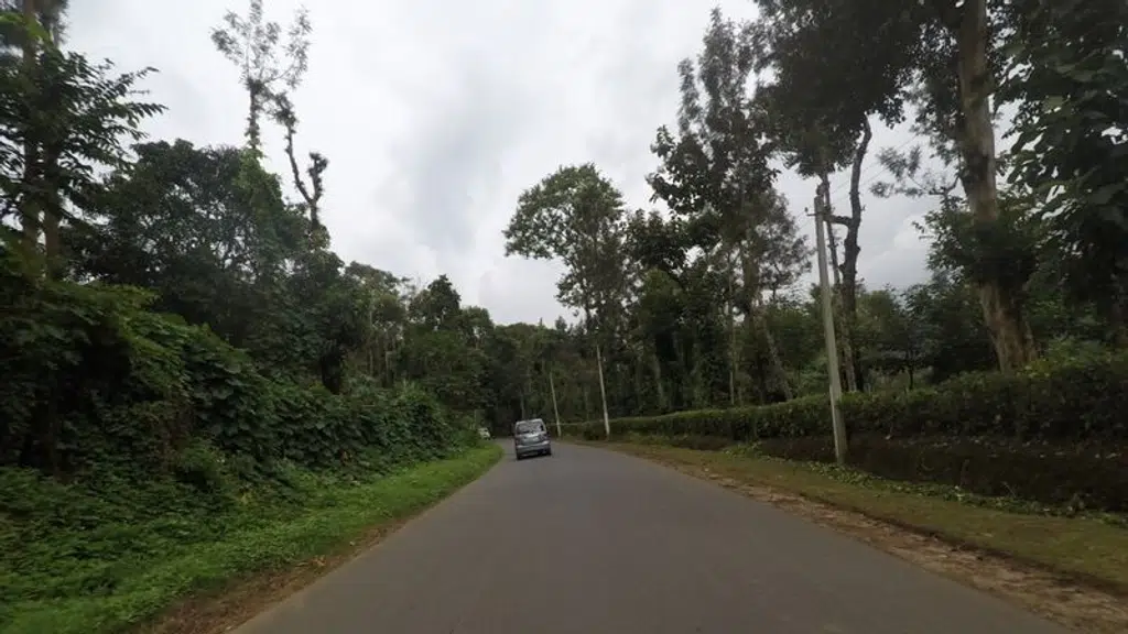 Homestead Homestay
