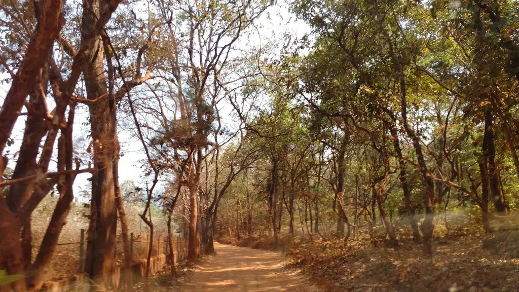 Bhagwan Mahaveer Wildlife sanctuary