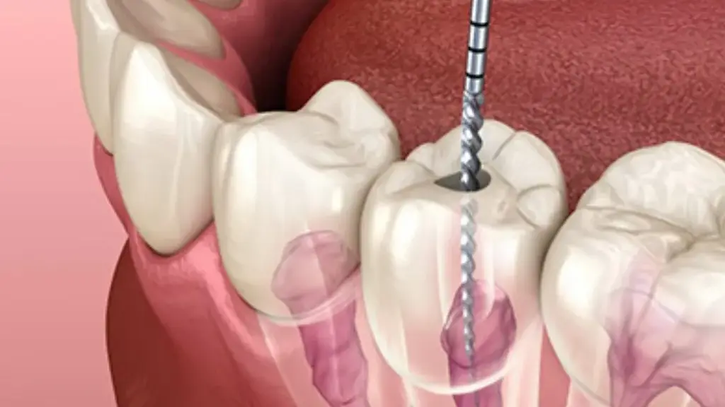 Dr. Ruchi's Dental Clinic