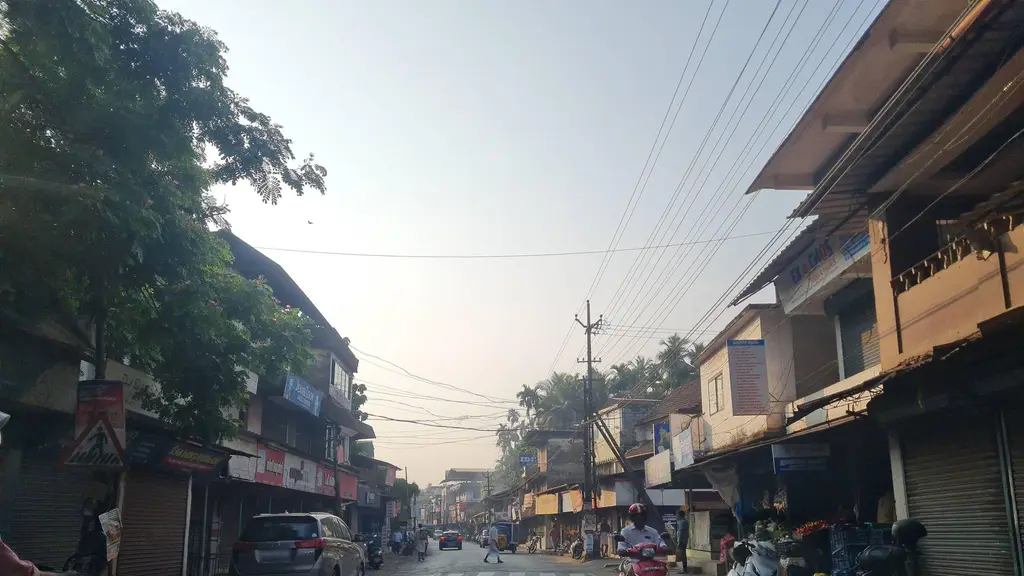 Deseeya Ayurvedic pharmacy & Pooja Store