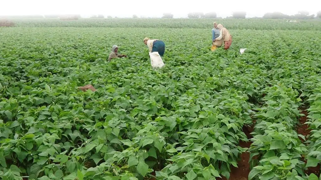 Ashoka Farm Aids