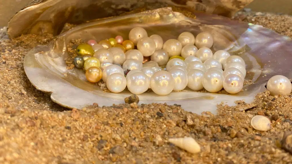 Ocean Pearls and Jewellers