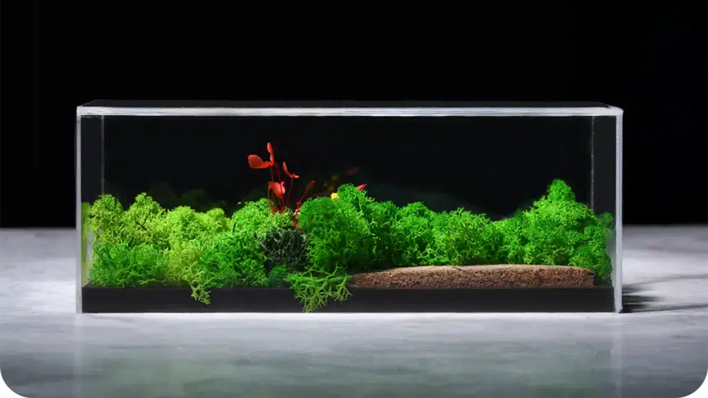 Forever Forest