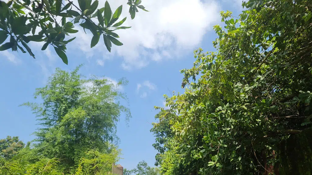 College Of Engineering Thalassery Girls Hostel