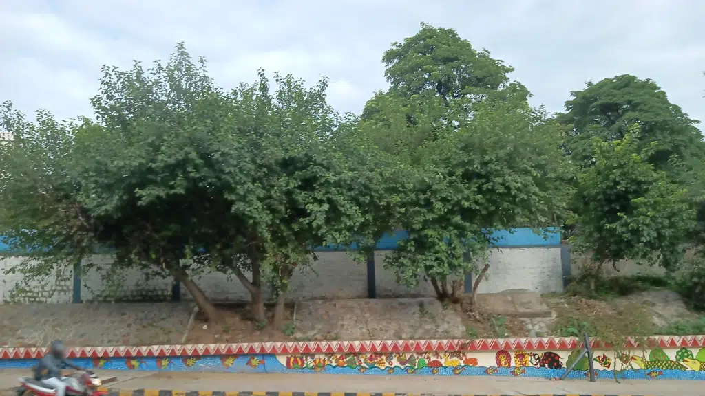 Tamil Nadu House Canteen