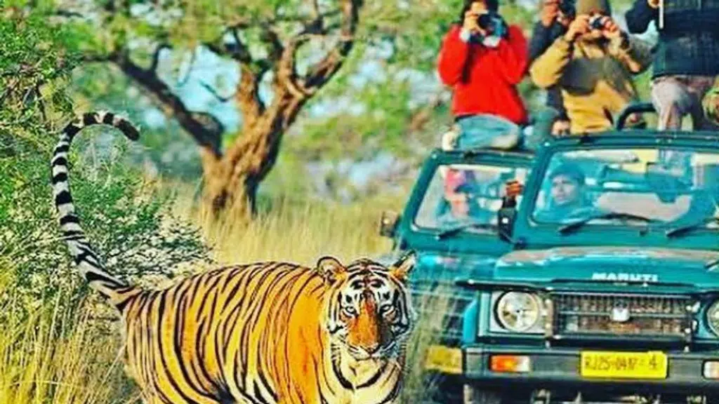 Discover India Tours
