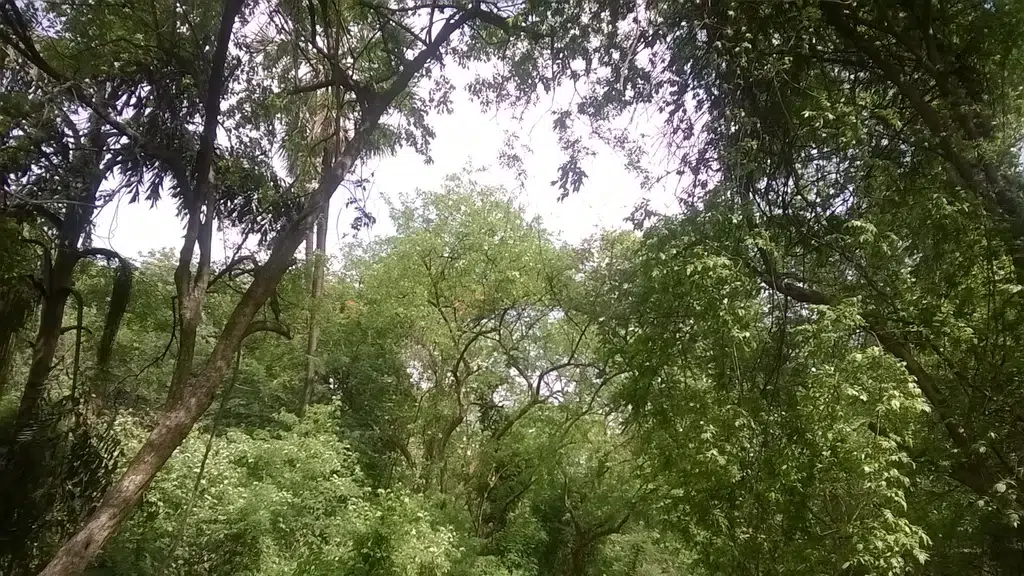 Gangeshwar Mahadev Gaumukh Ashram