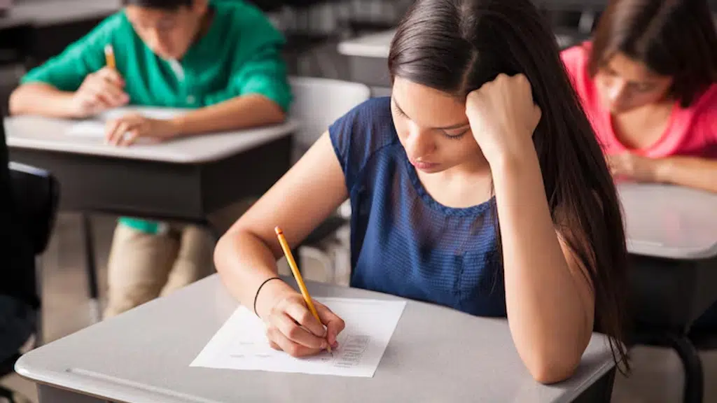 Shri Krishna Admission Consultancy