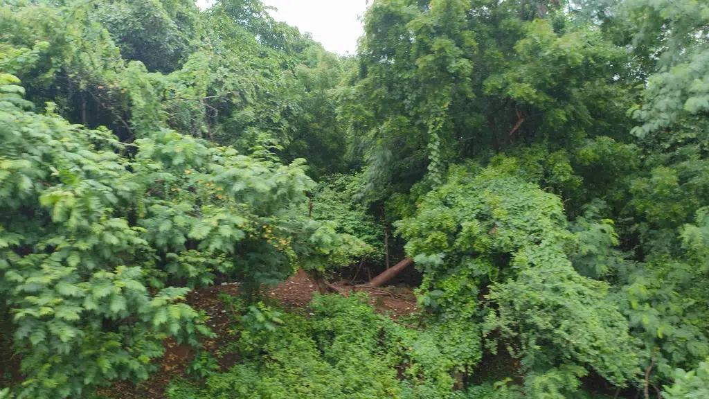 Chintamani Ganapati Datta Kshetram - Visakhapatnam