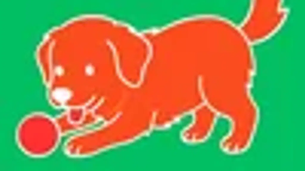 Nearby pet store India - Sector 14 Branch