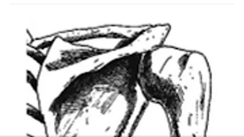 Solace Physiotherapy