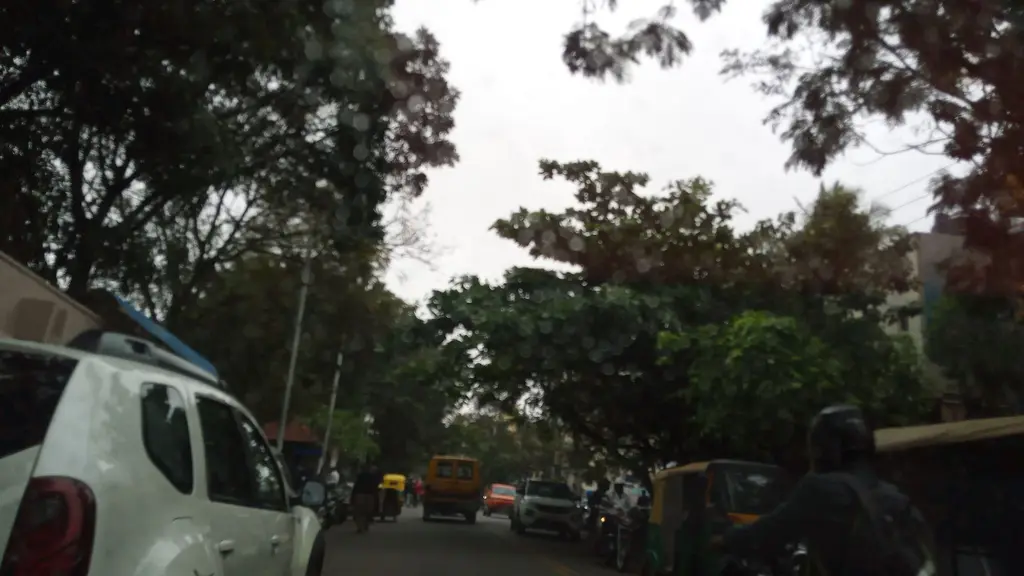 Dr Vaishnavi