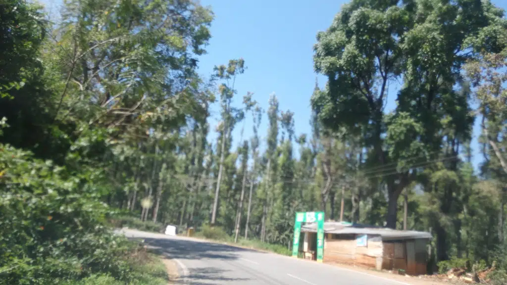 The jungle valley Homestay