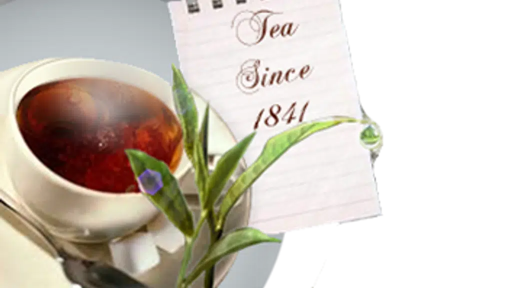 Tista Valley Exports Ltd.