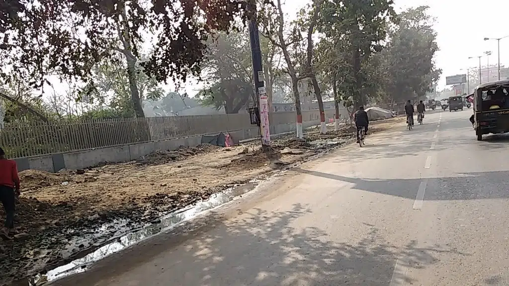 Dehradun pet shop