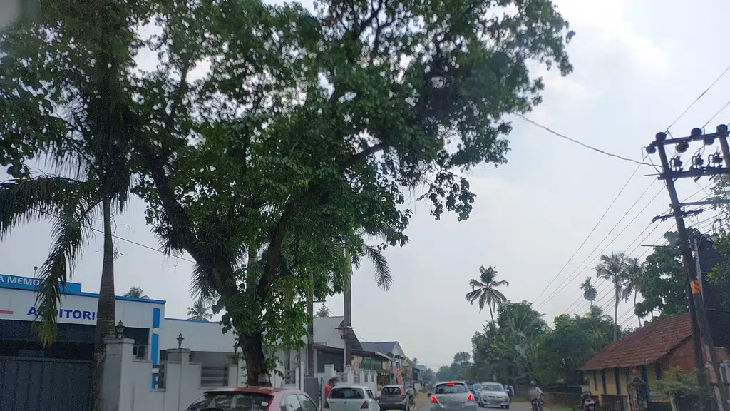 Fly Hayaat Tours & Travels,Perumbavoor
