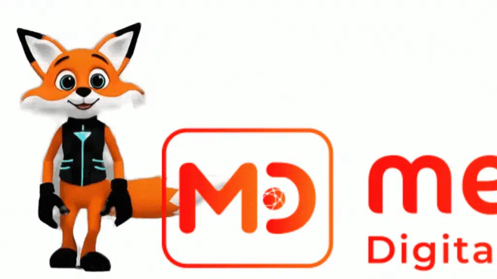 Meradigi - IT and Digital Marketing Company