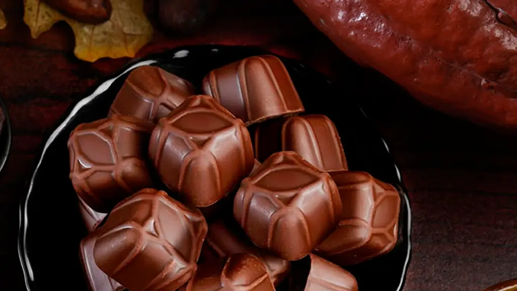 Macofa Chocolate Factory
