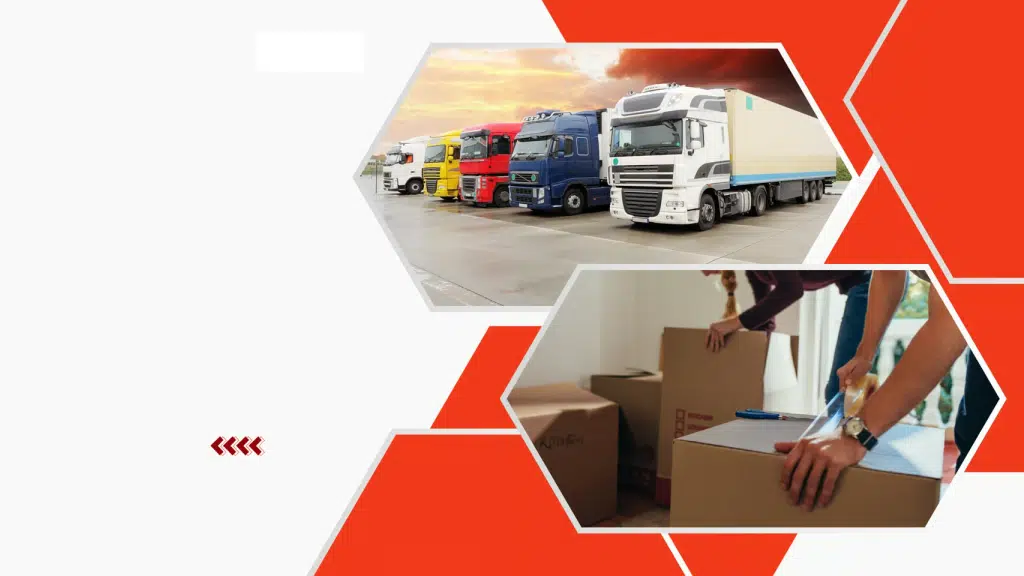 Asia Logistics Relocation (Packers and Movers)