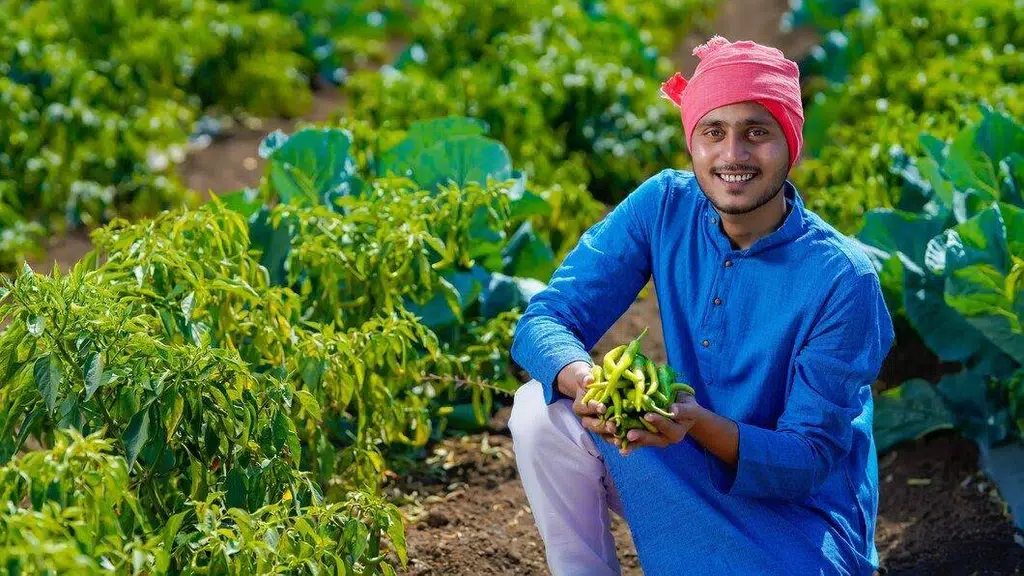 Ideal Agri Search Pvt Ltd